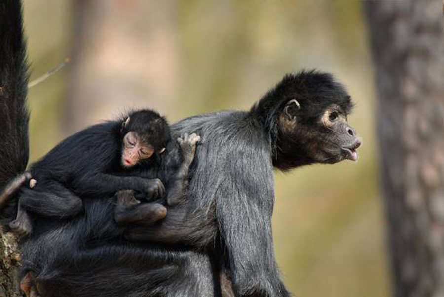 Mommy matters Andre Liebenberg